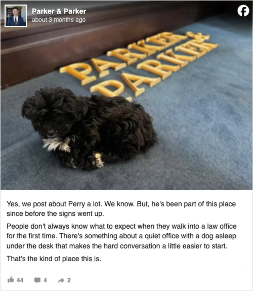 Parker & Parker Facebook post showing Perry the dog resting near the Parker & Parker sign